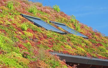 Tatling End living roof systems